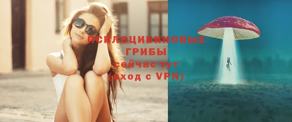 молекула духа Елизово