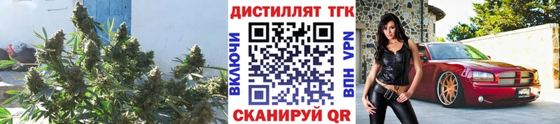 Дистиллят ТГК Wax  Тихорецк 