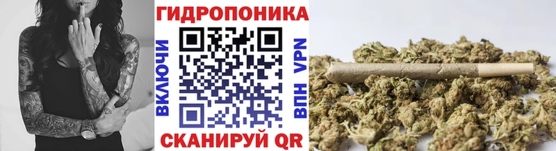 МАРИХУАНА SATIVA & INDICA  hydra ссылки  Тихорецк 